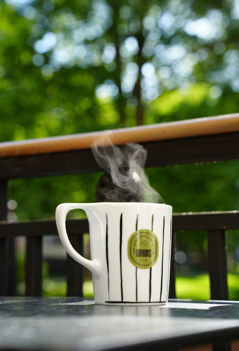 Lino Daily Drip Mug